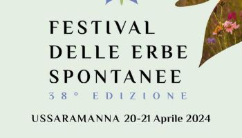 festival-erbe-spontanee-ussaramanna-2024