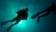 Diving Scuba point a Palau