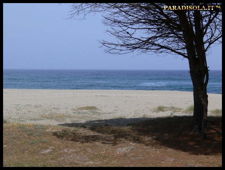 Foto della spiaggia di Museddu