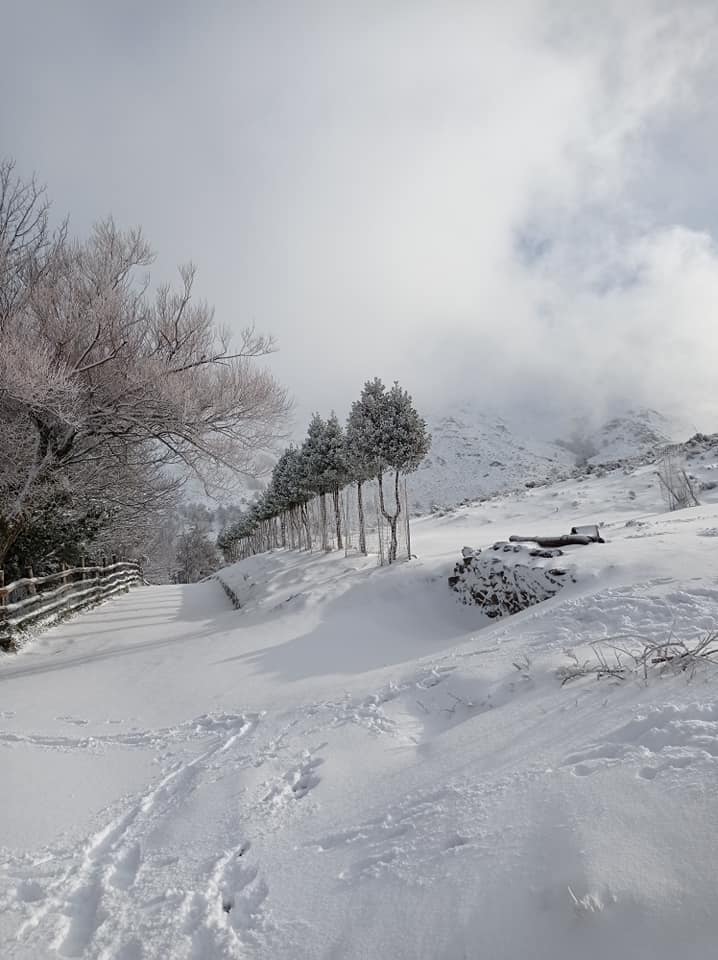 Su Filariu desulo - Neve Sardegna Dicembre 2020